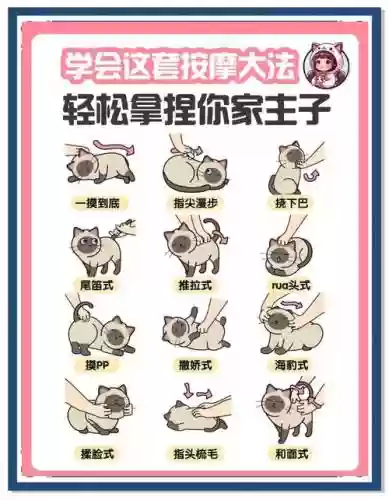 如何打开宠物技能插图