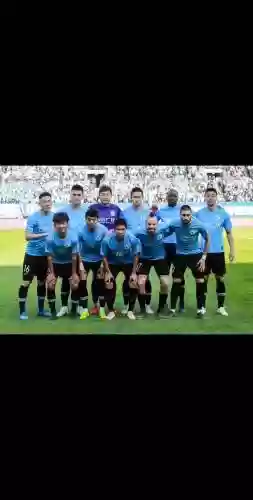 大连2019阵容插图