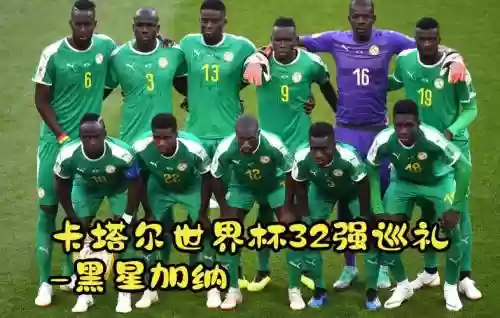 加纳比赛阵容插图
