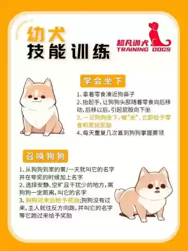 如何打开宠物技能插图1