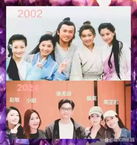 倚天部分阵容插图