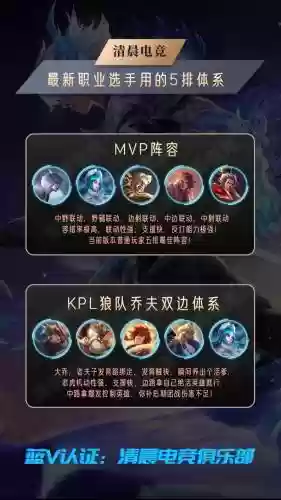 土豪阵容王者插图1
