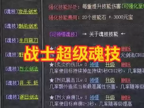 热血传奇修改技能冷却插图1