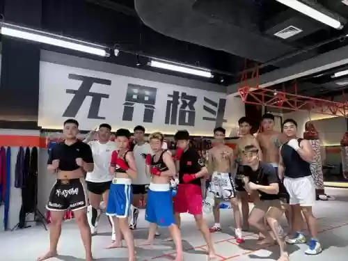 拳击离谱阵容搭配_1插图