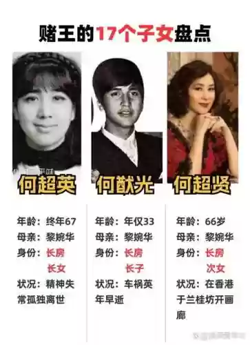 赌王之子阵容搭配插图1
