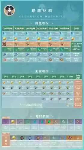 流浪阵容搭配攻略插图