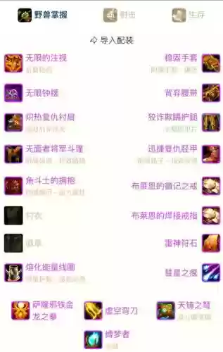 奥迪尔猎人装备属性插图