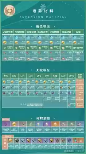 风主阵容搭配阵容_1插图1