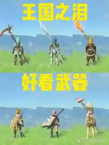 塞尔达传说增加武器_1插图