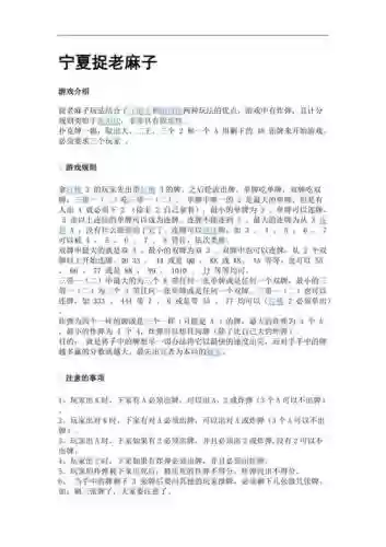抓老麻子攻略插图