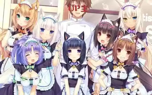 艹猫cg全收集攻略插图