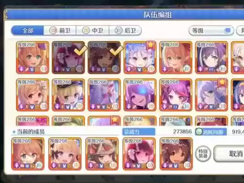 异次元公主阵容搭配插图