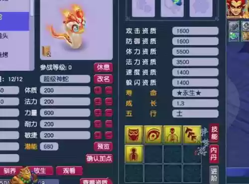 梦幻西游最珍稀的宠物插图1