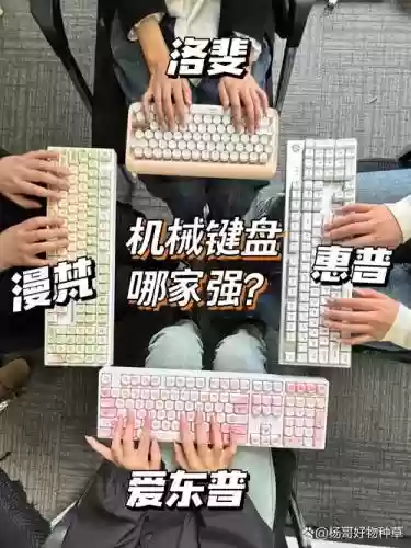 键盘侠阵容_1插图