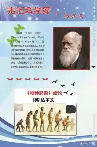 达尔文进化正式版攻略插图1