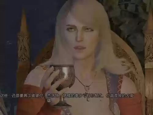 巫师3普通妓女攻略插图1