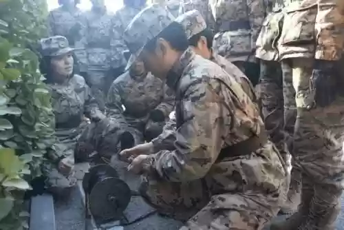 火炮通讯兵学什么技能插图