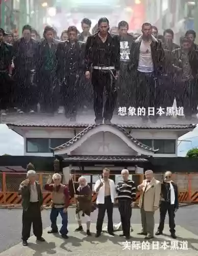山口山阵容搭配_1插图