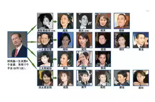 赌王之子阵容搭配插图