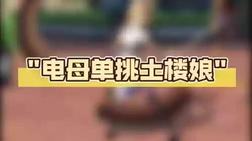 电母搭配阵容插图