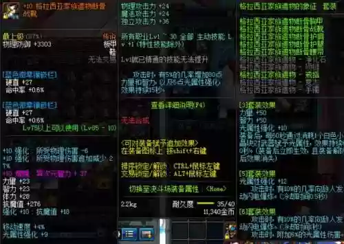 dnf假猪装备插图