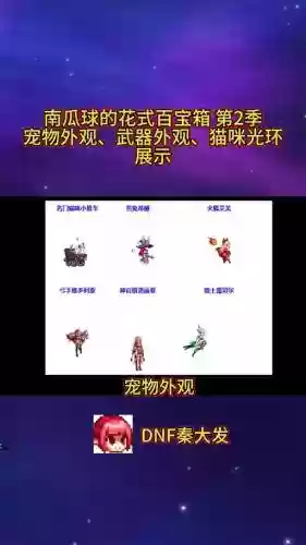 dnf蕾姆宠物装备插图1