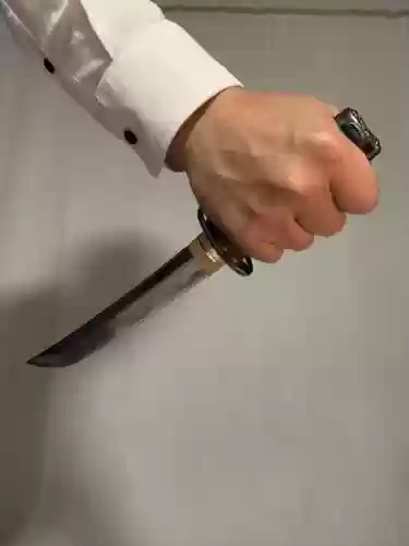 左手武器素材插图1