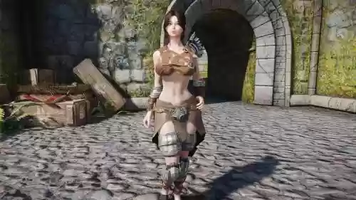 上古卷轴5装备mod怎么安装_1插图