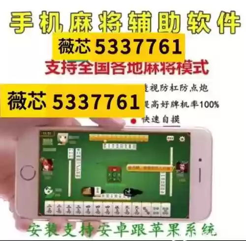 抓老麻子攻略插图1