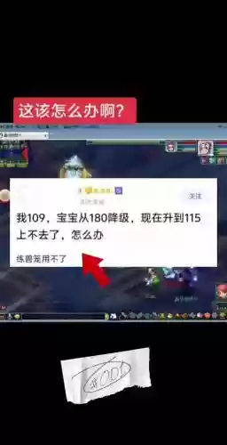 如何解决梦幻西游人物突然消失插图