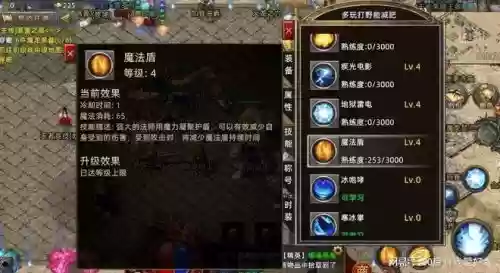 传奇法师怎么加强技能，传奇法师怎么加强技能伤害