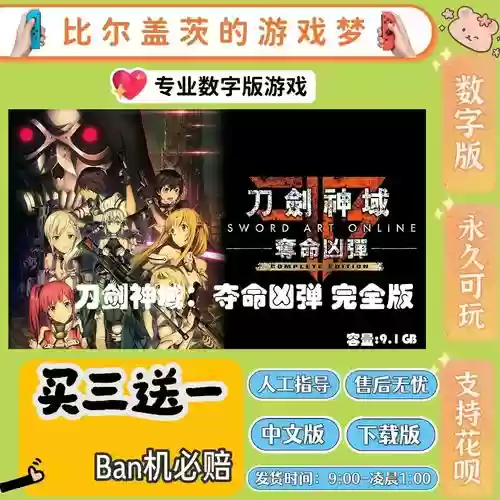 刀剑神域夺命凶弹光剑无法装备，刀剑神域夺命凶弹为什么有的武器装备不上插图