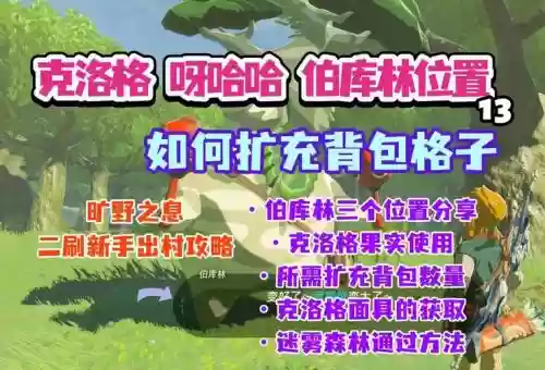 荒野之息扩充武器格子,荒野之息 扩展武器槽插图1 荒野之息扩充武器格子,荒野之息 扩展武器槽插图1