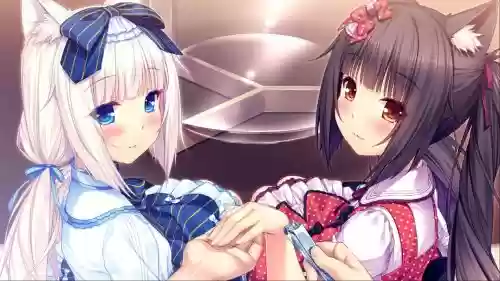 nekoparavol.3攻略，nekopara3 ons插图1