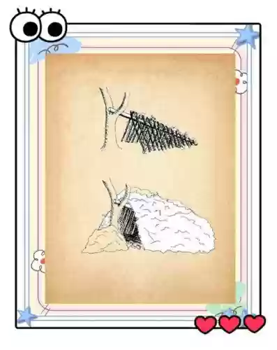 荒野求生攻略书，荒野求生游戏攻略插图1