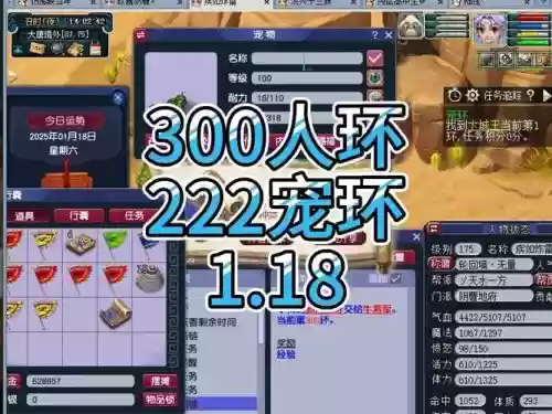 梦幻西游取消宠物环，梦幻西游宠环多长时间能取消插图1