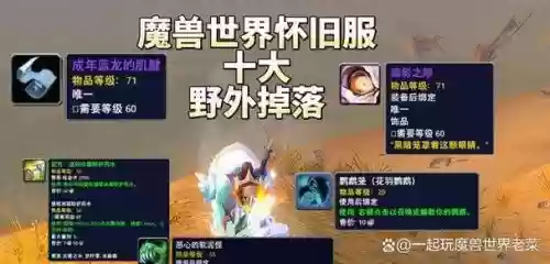 60级副本攻略，魔兽世界怀旧服60级副本介绍插图1