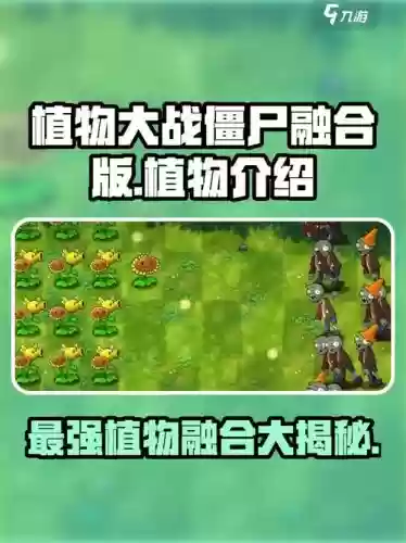 植物大作战巅峰阵容搭配，植物大作战什么阵容厉害