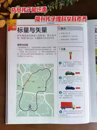 dk攻略，dk攻略看谁的插图