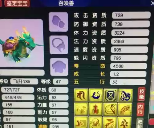 梦幻西游变异龙龟资质成长，梦幻变身术龙龟插图1