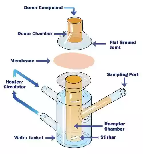 testchamber攻略第二，tested on humans攻略插图