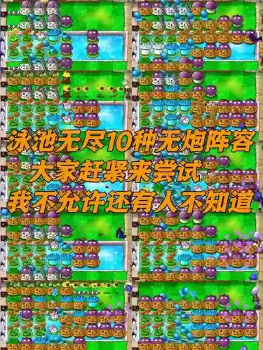 植物大战僵尸绝杀阵容搭配，植物大战僵尸绝杀阵容搭配推荐插图