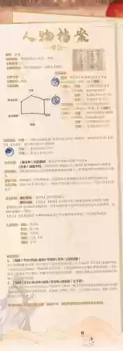 李白阵容搭配，李白适合什么阵容插图
