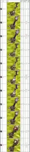 永恒之塔武器材料，永恒之塔武器制作400449插图