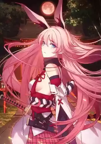 崩坏3八重樱阵容搭配，崩坏3八重樱哪个强插图