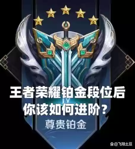 铂金段位最强阵容搭配，铂金能匹配的段位插图