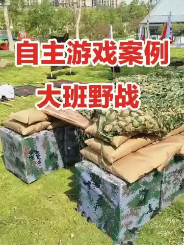野战全攻略网站，野战游戏怎么玩插图1
