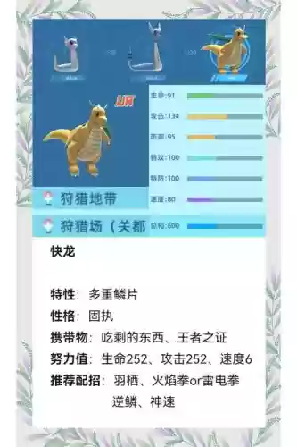 大冒险快龙阵容搭配图，宝可梦大冒险 快龙技能插图