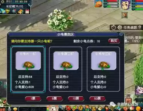 梦幻西游小龟快跑专家竞猜，梦幻小龟赛跑刷珍珠插图
