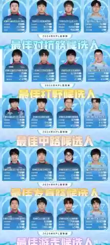 职业比赛最强搭配阵容，职业比赛最强搭配阵容是什么插图1
